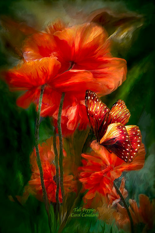 نقاشی های رنگ روغن از گل ها و طبیعت جذاب